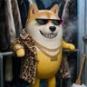 Profilbild von DICRAPIO
