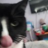 Profilbild von Tux1330