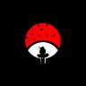 Boafera's profile picture