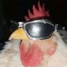 chicken man profil fotoğrafı