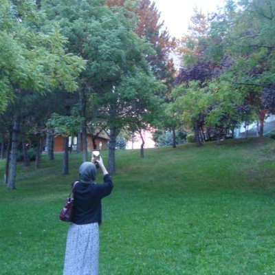 nesetilsimi's profile picture