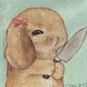 أفنان العتيبي's profile picture