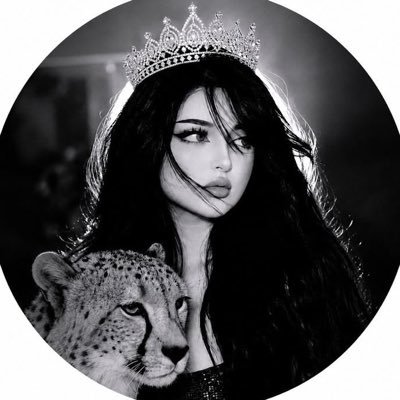 co__cs's profile picture