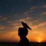 صَبُوحَة's profile picture