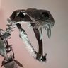 Фото профиля Wesley The Spooky Paleo Dude (Ice Age 6 hype) 🦕🦖