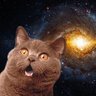 あむ🐈⬛ 的头像
