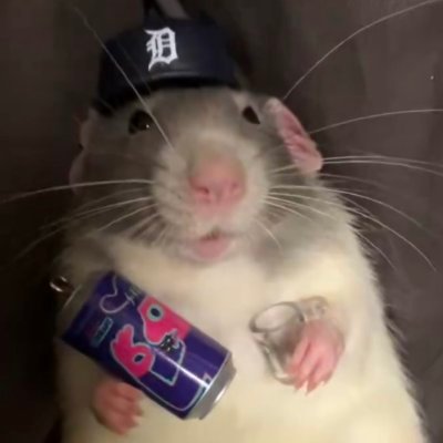 Lando's profile picture