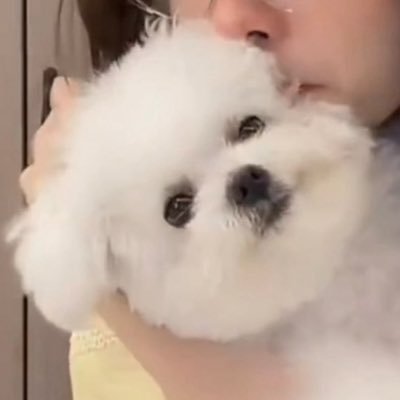 anx418_'s profile picture