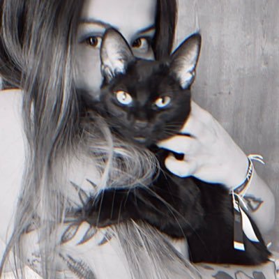 kattcorts's profile picture