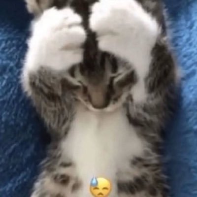 duda's profile picture