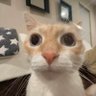 sun ming yuan's profile picture