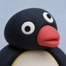 sora's profile picture