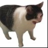 Pookielor's profile picture