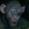 Garaboosh's profile picture