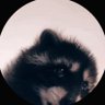 One_boy's profile picture