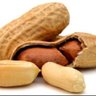 Profilbild von Peanut Hunter v1.0