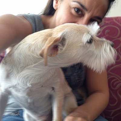 JLioundris's profile picture