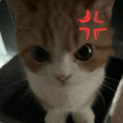 sosa's profile picture