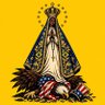 Фото профиля Des-Aparecida. 🇧🇷💛💚💙