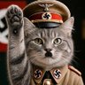 uncle kitler 🙋🏼🎨🇩🇪⚡️⚡️ profil fotoğrafı