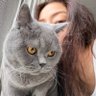 Фото профиля JoJoCat 🍭