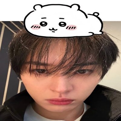 mao ᝰ.ᐟ̤̮'s profile picture