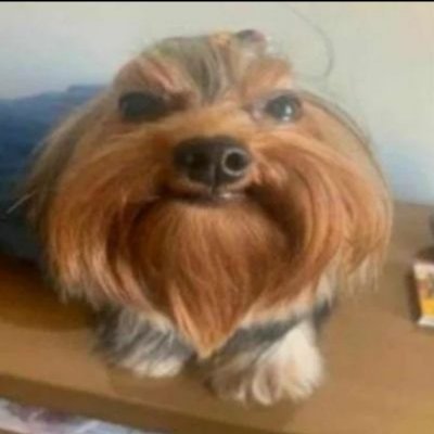 mela's profile picture