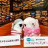 子ザメと きこきこ profil fotoğrafı