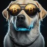 Profilbild von Krypto_FL