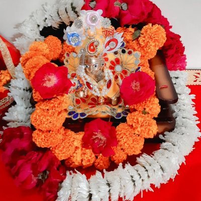 Renu Yadav's profile picture