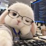 file:not:found's profile picture
