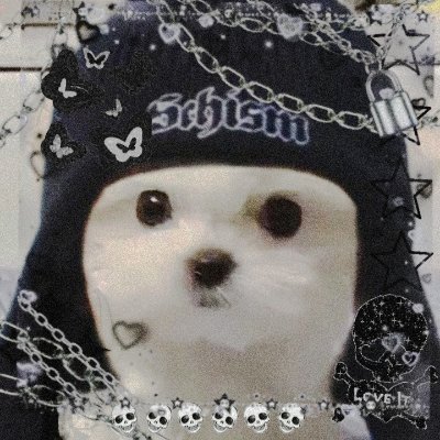 ryoaresocute's profile picture