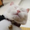 Cloudzzz's profile picture