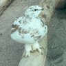 Фото профиля すの
