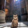 Фото профиля SakarizaOzer🐱