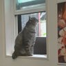 おいたんฅ^•ω•^ฅ profil fotoğrafı