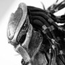 Profilbild von Prey.gdp