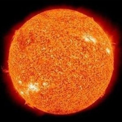 ミント's profile picture