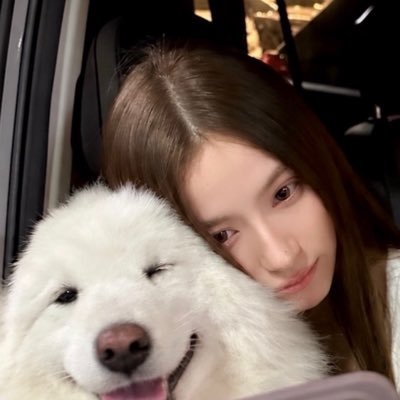 ꙳◟✿͙ ྀི bibbidibabe 🩰 ˚ ༘ *'s profile picture