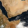عزوز's profile picture