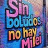 Sin boludos no hay Milei's profile picture