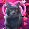 Maelien's profile picture
