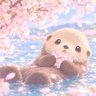 Profilbild von ぐらっこ🦦💛 らっ子の姿
