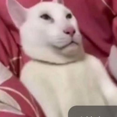 razencro's profile picture