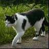 Doke profil fotoğrafı