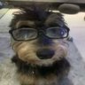 Benjamin Abolla's profile picture