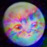 P太郎's profile picture