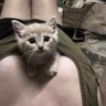 𝙾𝚕𝚒𝚟𝚒𝚊 profil fotoğrafı