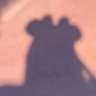 m.'s profile picture