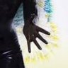 lyko's profile picture